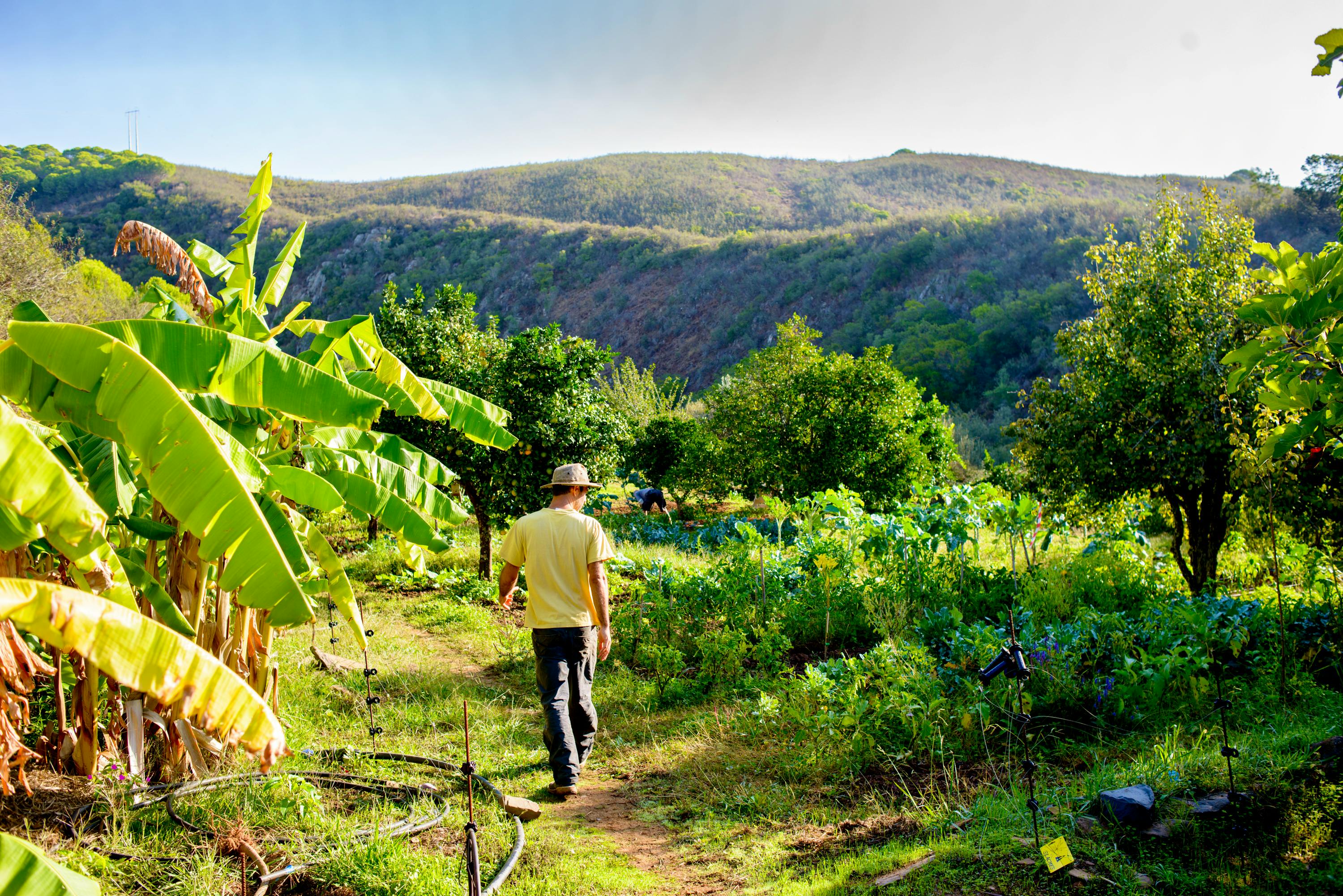 Live and Learn on Organic Farms WWOOF Portugal