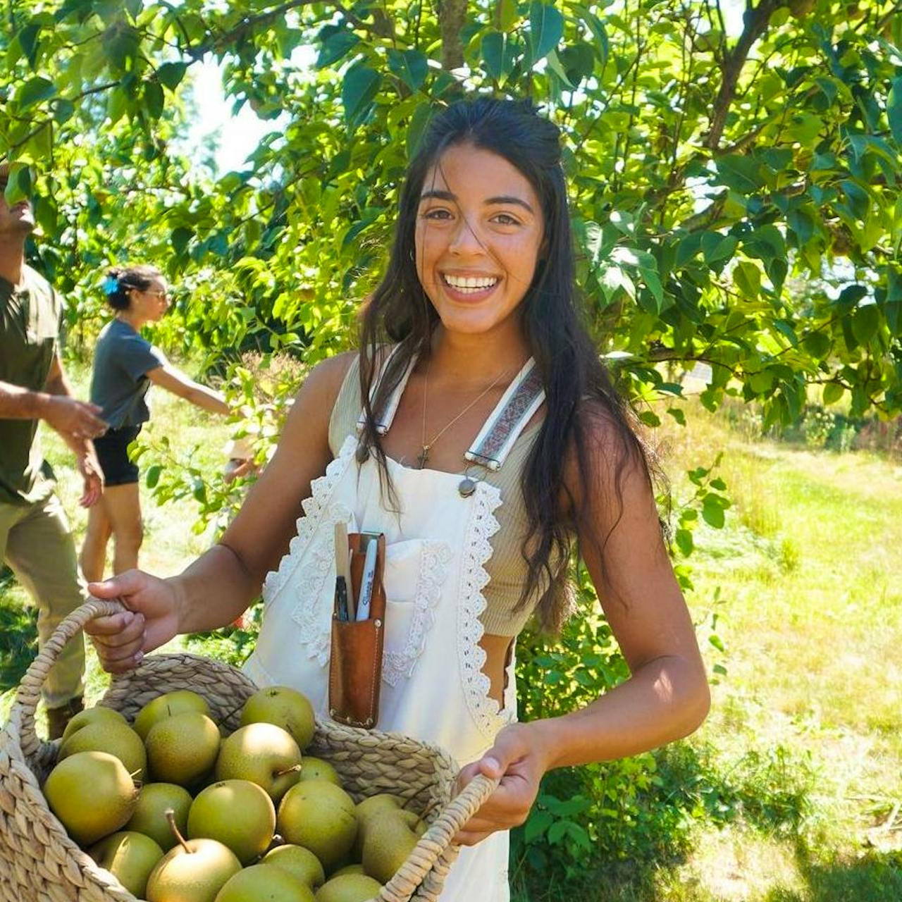Live And Learn On Organic Farms WWOOF Korea live-and-learn-on-organic-farms-wwoof-korea