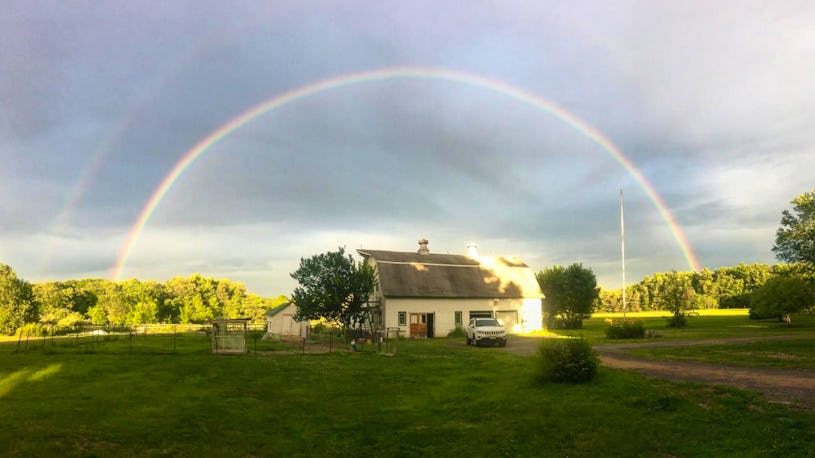 Beautiful Historic 13 acre Veggie And Livestock Farm Near Buffalo NY beautiful-historic-13-acre-veggie-and-livestock-farm-near-buffalo-ny