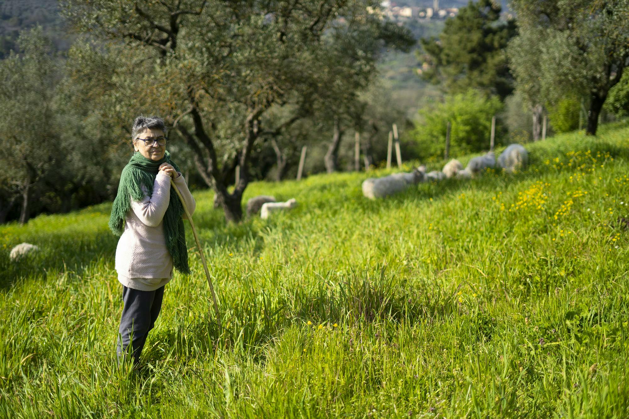 vigneto-fattoria-mista-fattoria-di-famiglia-wwoof-italia