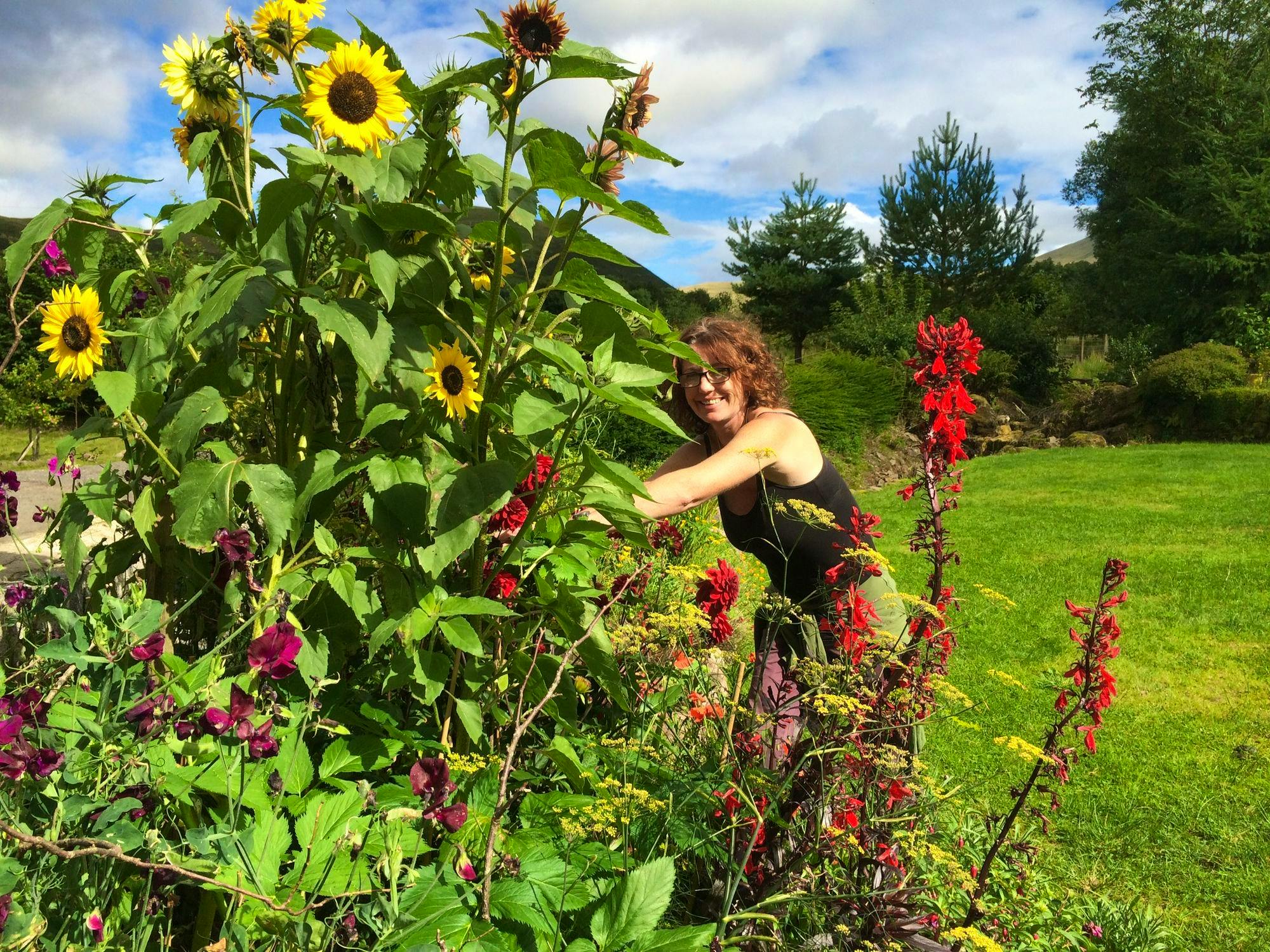 camping-or-bring-your-own-van-on-a-smallholding-in-western-brecon