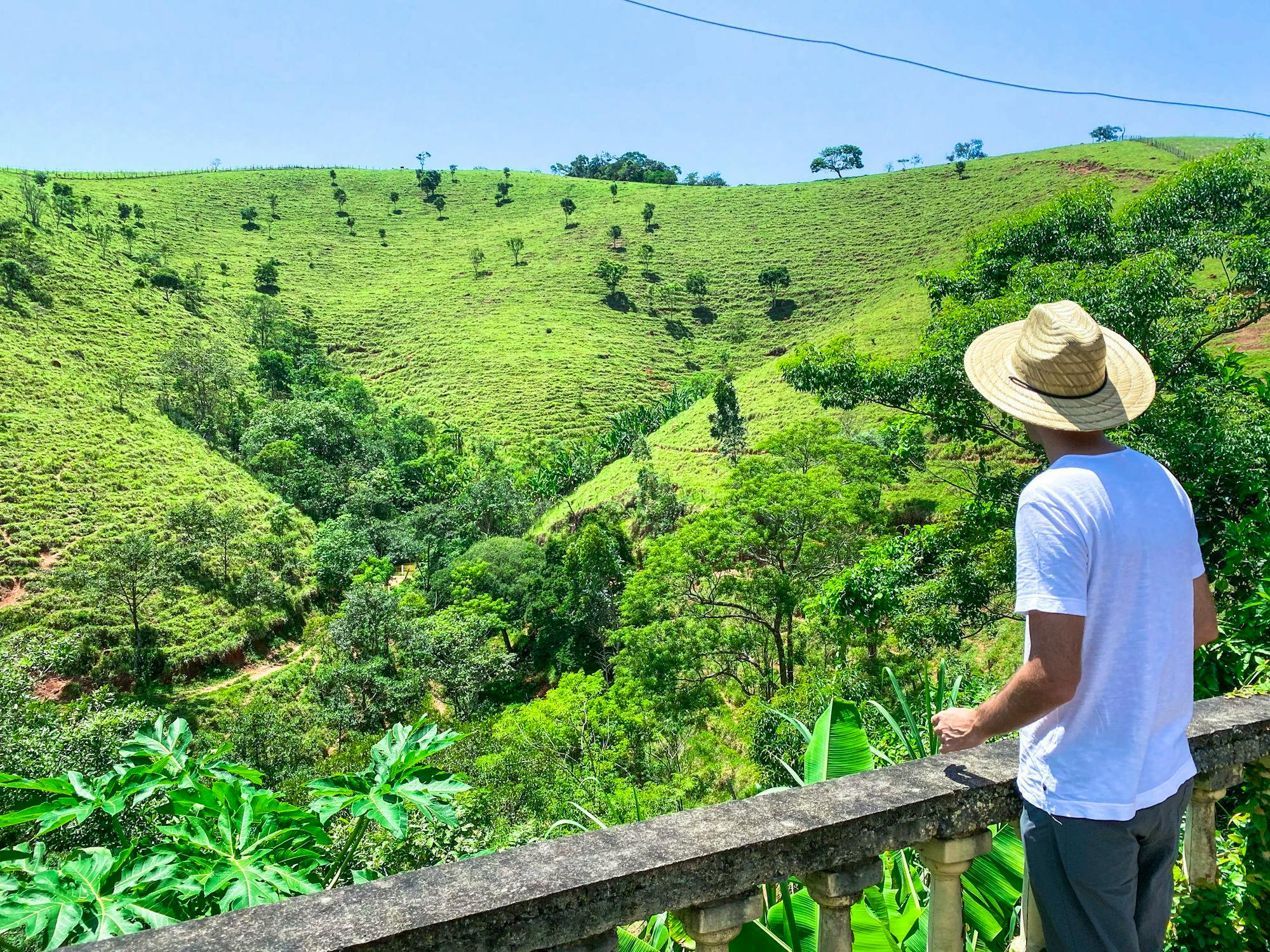 a-retreat-at-the-mantiqueira-mountains-wwoof-brasil