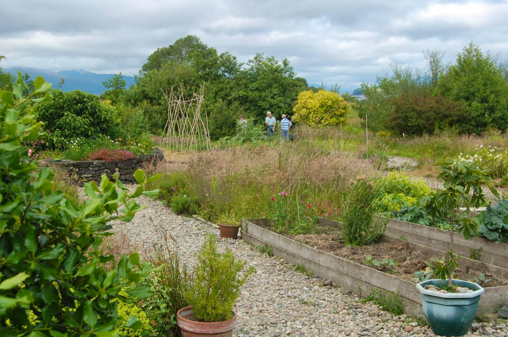 smallholding-wwoof-united-kingdom