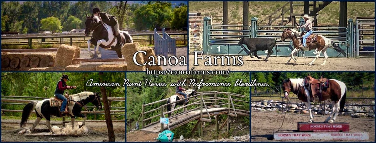 Horse Ranch, Family farm, (Full for 2023) - WWOOF Canada