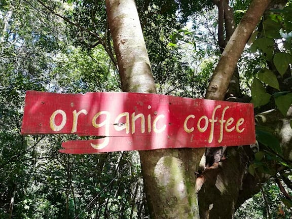 You haven't had Costa Rica coffee until you've tried this 