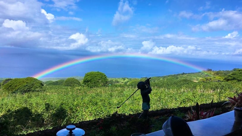 20 Acre Coffee Farm On The Big Island Of Hawaii With Big Focus On 20-acre-coffee-farm-on-the-big-island-of-hawaii-with-big-focus-on