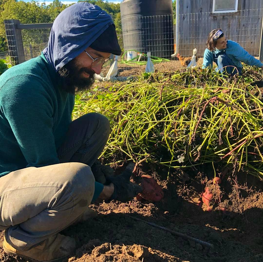 Help Us Build A New Diversified Polyculture/ Permaculture/ Regenerative ...