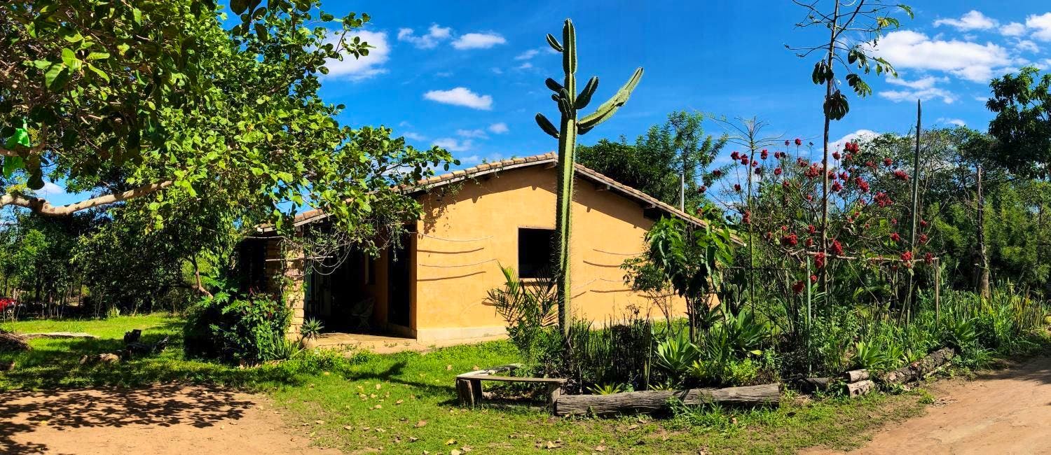 Agroforestry Syntropic and Regenerative Livestock, Educational Centre ...