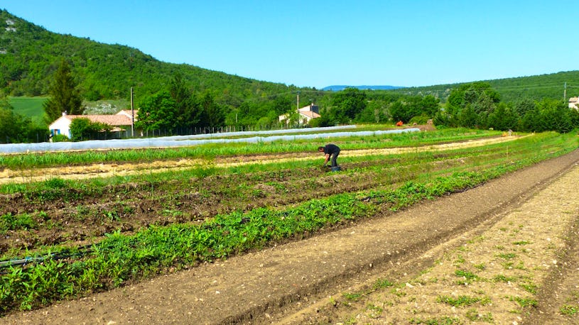 Ferme agrotouristique bio au coeur des Alpes de Haute Provence  WWOOF