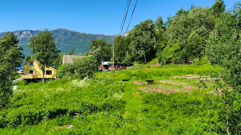 Family Farm WWOOF Norway family-farm-wwoof-norway