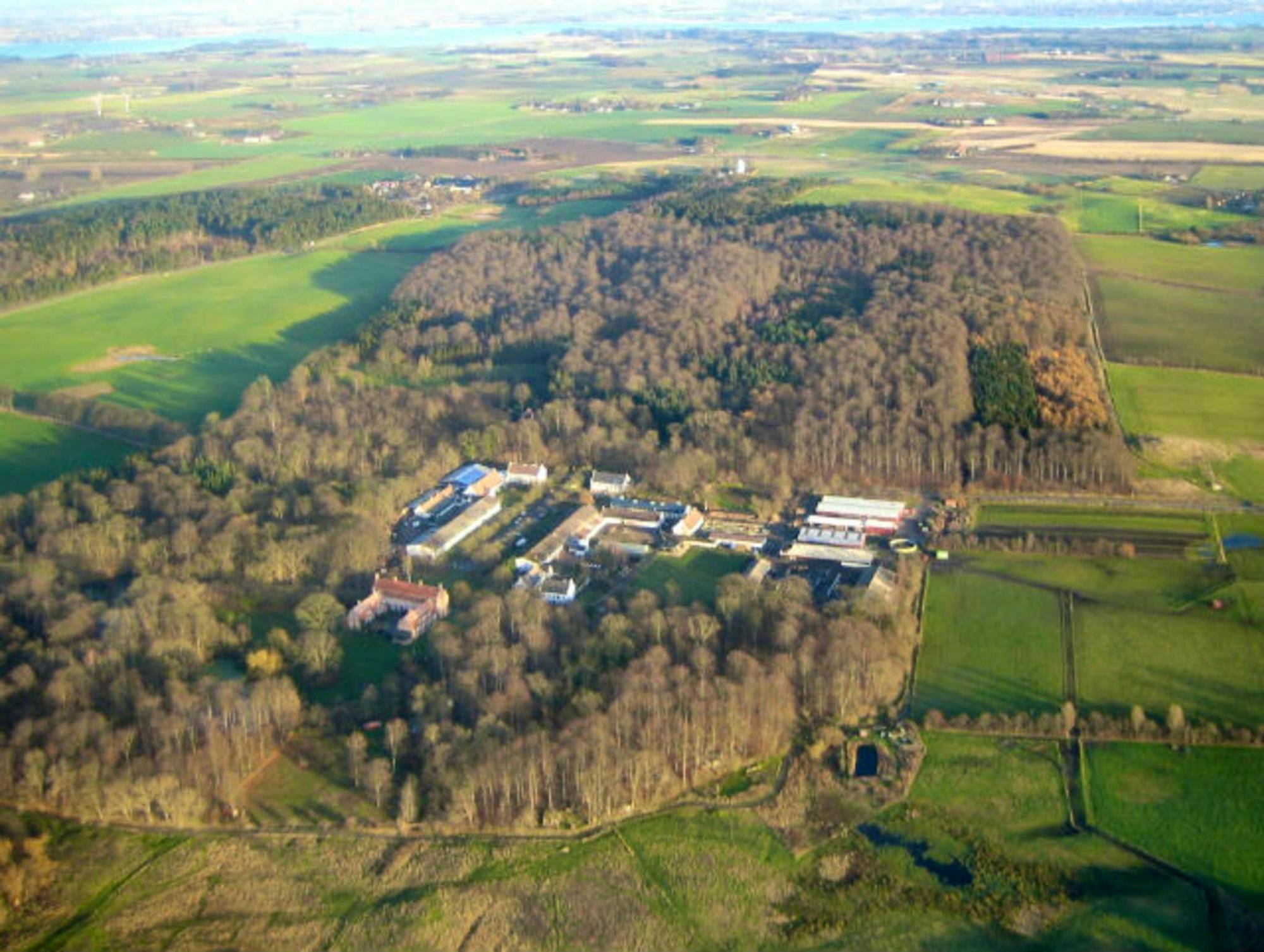 Community farm - WWOOF Denmark