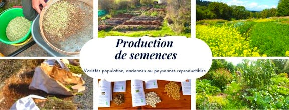 Cultures et semences potagères : une agriculture diversifiée