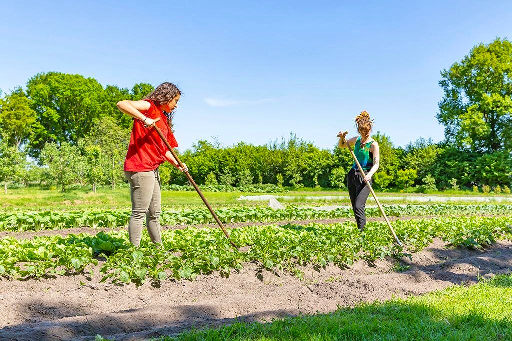 Farm deals and family